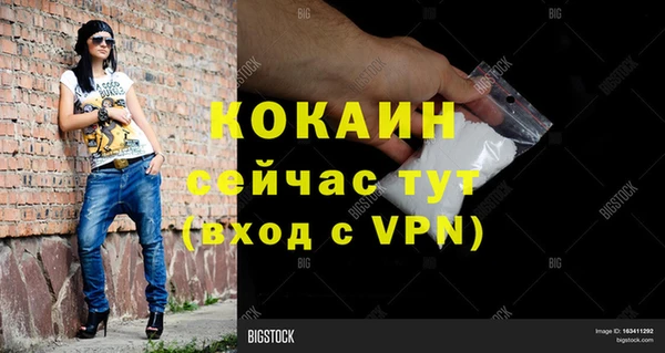 хмурый Алзамай