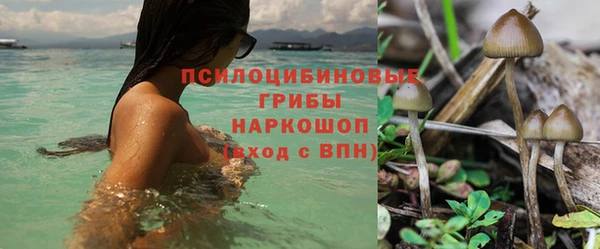 хмурый Алзамай