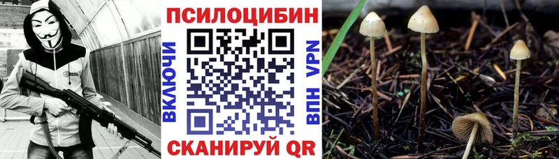 Галлюциногенные грибы ЛСД  Тында 