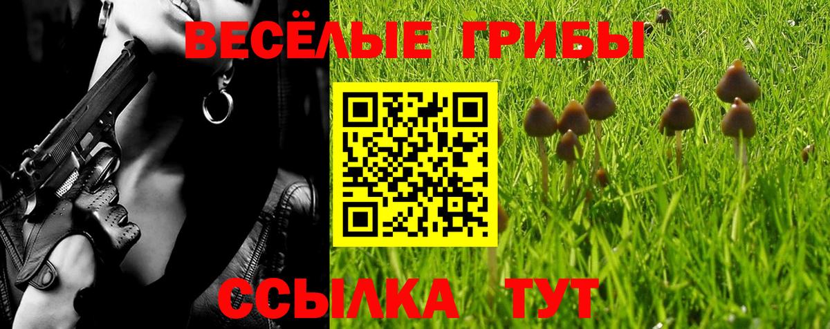 Псилоцибиновые грибы Cubensis  Вход с VPN  как найти   Тында 